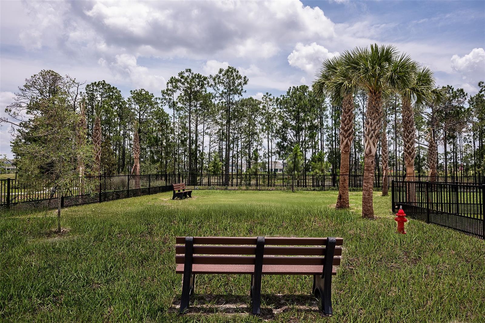 14795 Field Daisy Dr Property Photo 44