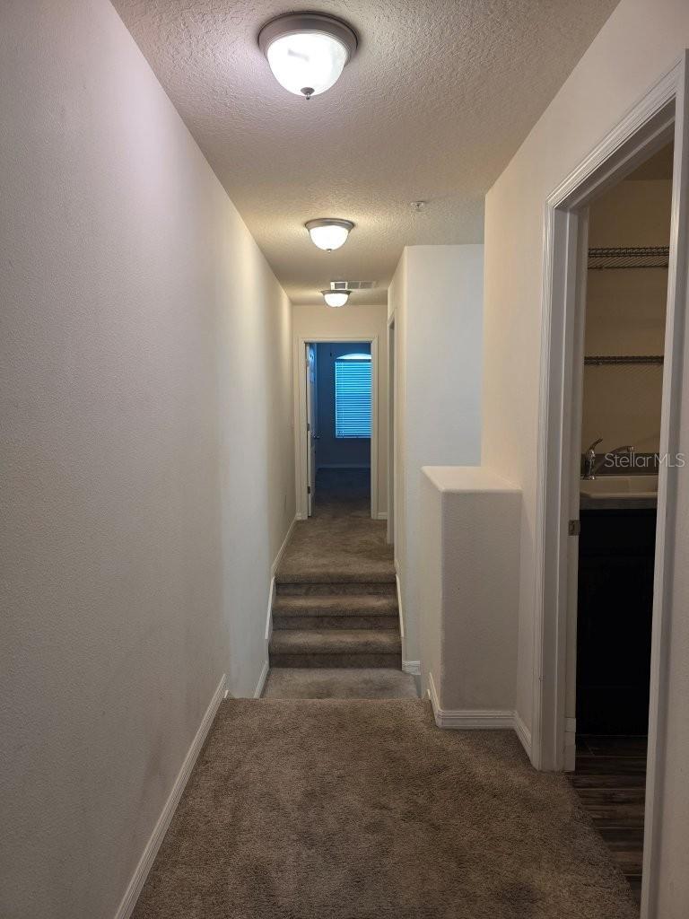 9481 Tawnyberry St Property Photo 21