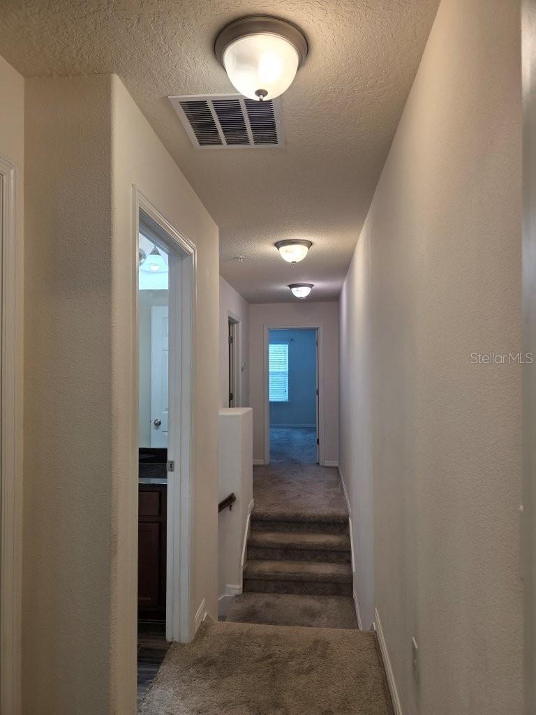 9481 Tawnyberry St Property Photo 25