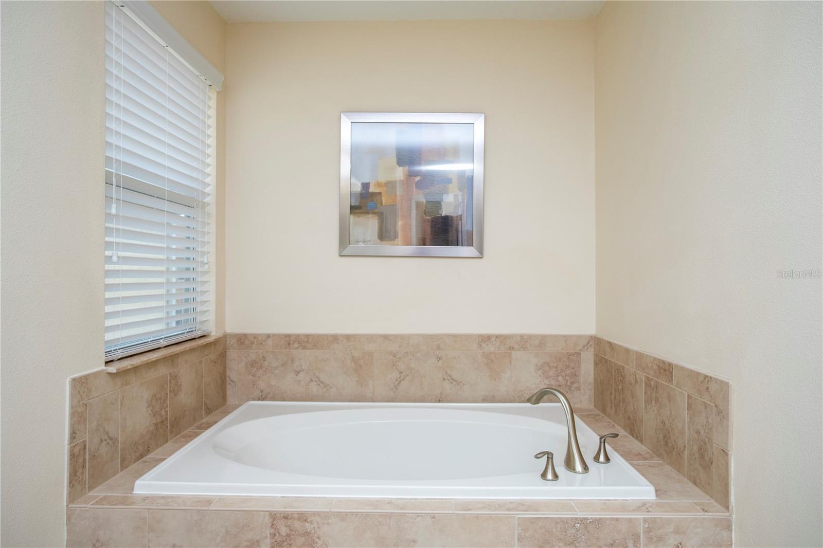 2928 Buccaneer Palm Rd Property Photo 29