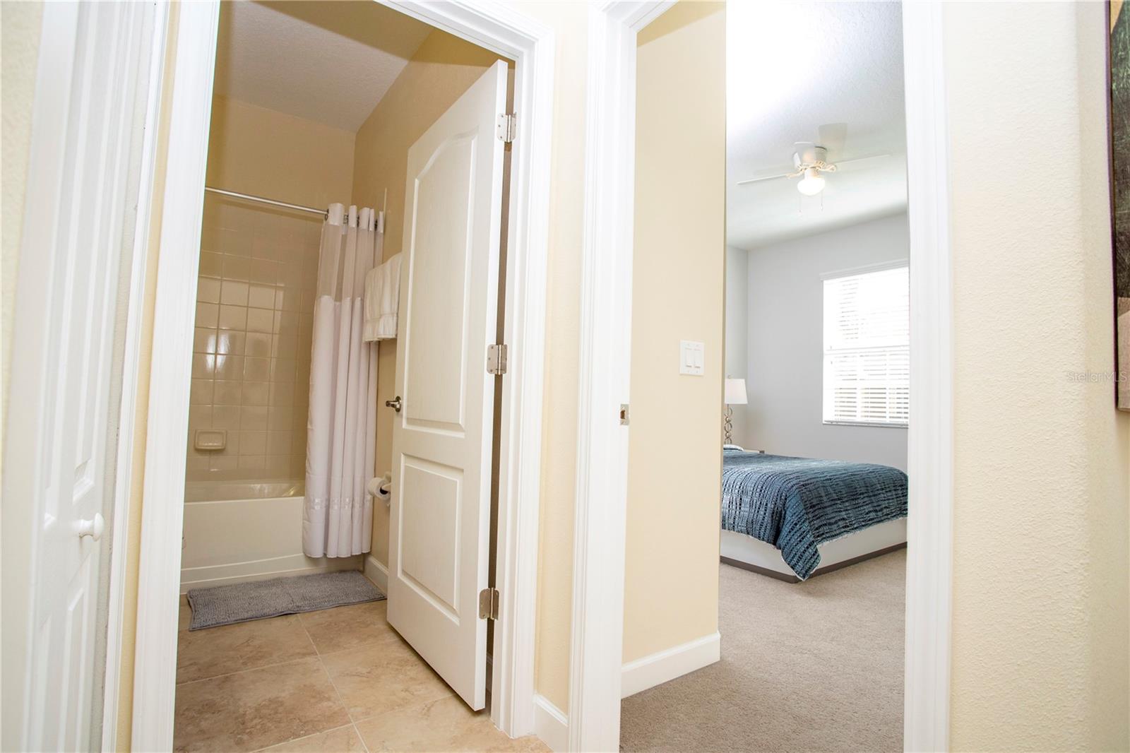 2928 Buccaneer Palm Rd Property Photo 48