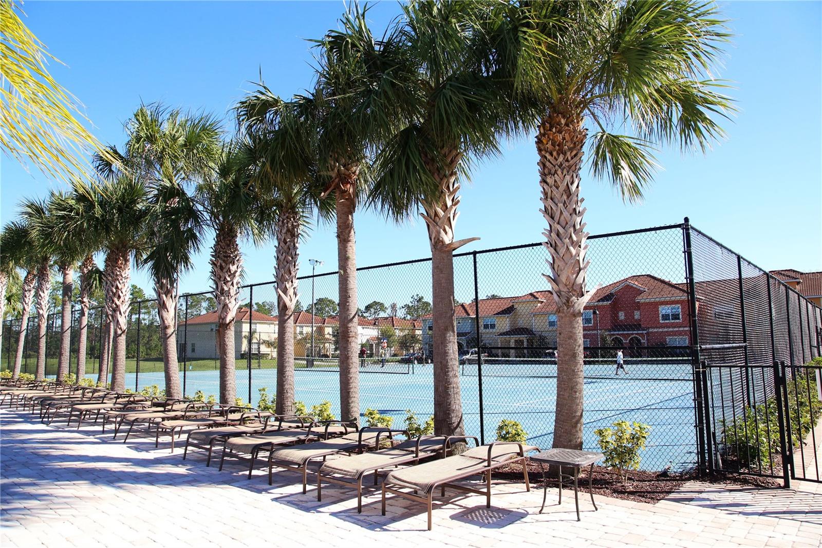 2928 Buccaneer Palm Rd Property Photo 97