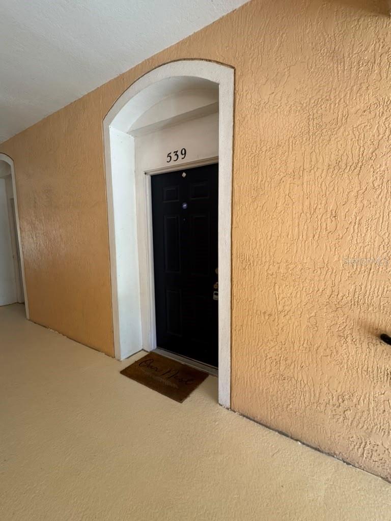 13536 Turtle Marsh Loop #539 Property Photo 3
