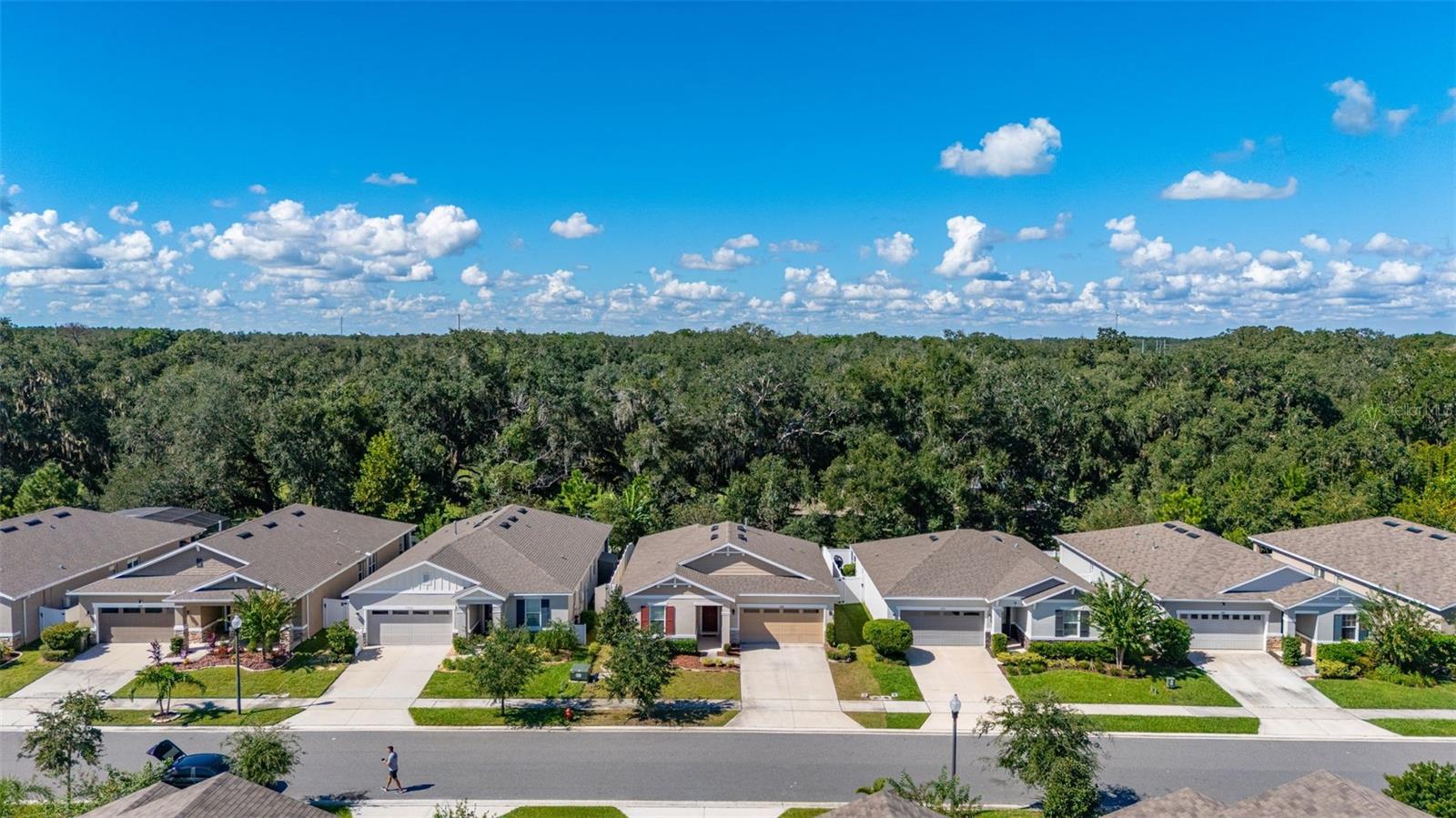 5240 Meadow Song Dr Property Photo 36