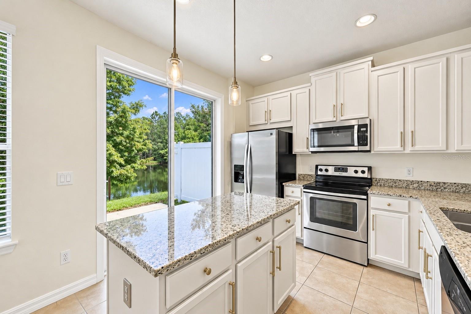 9649 Silver Buttonwood St Property Photo 10