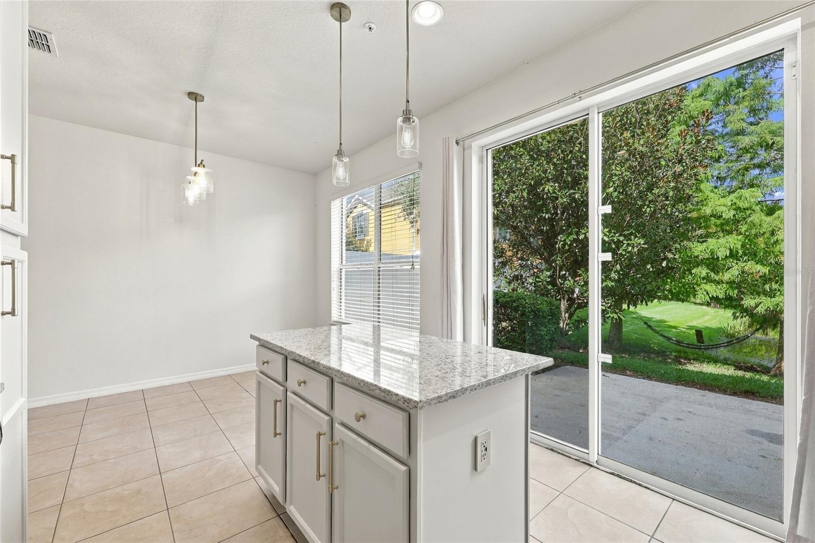 9649 Silver Buttonwood St Property Photo 11