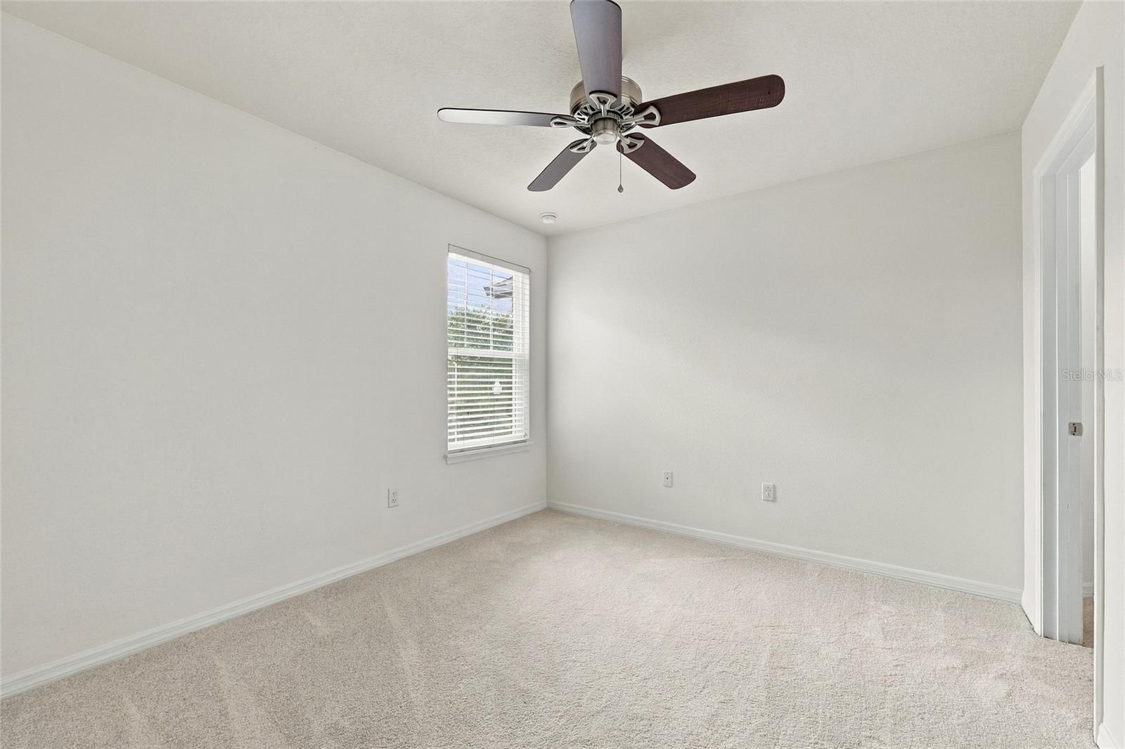 9649 Silver Buttonwood St Property Photo 21
