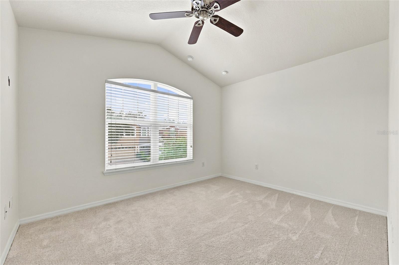 9649 Silver Buttonwood St Property Photo 24