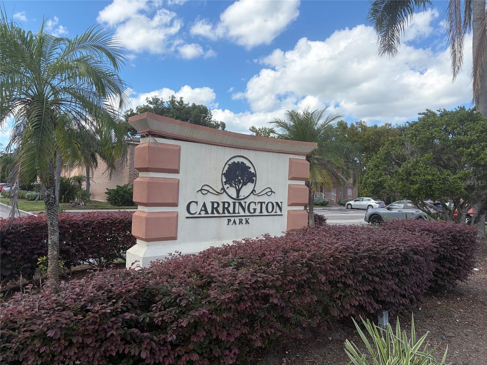 488 Banyon Tree Cir #206 Property Photo 1
