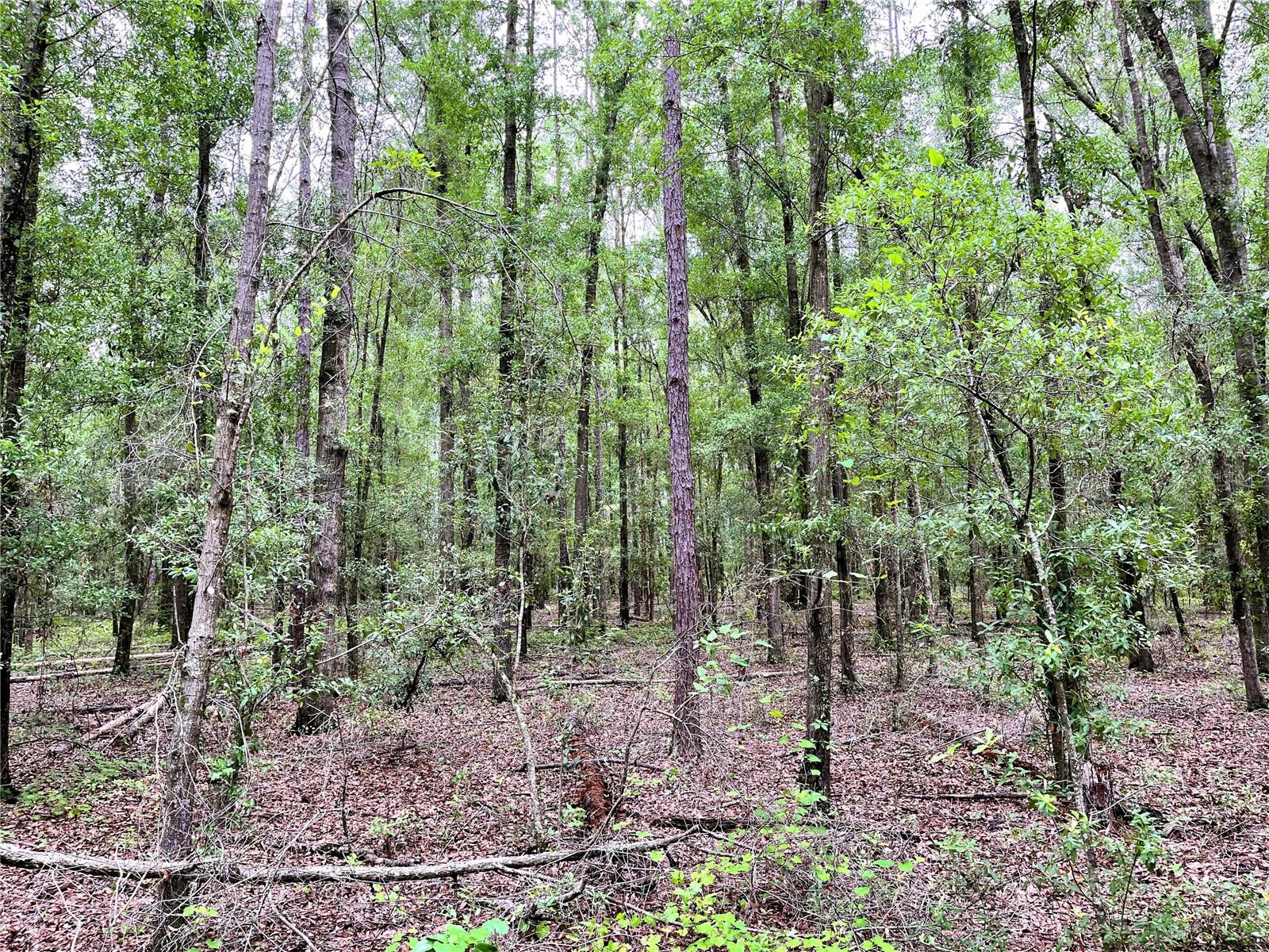 1874 Sw Nautilus Rd Property Photo 20