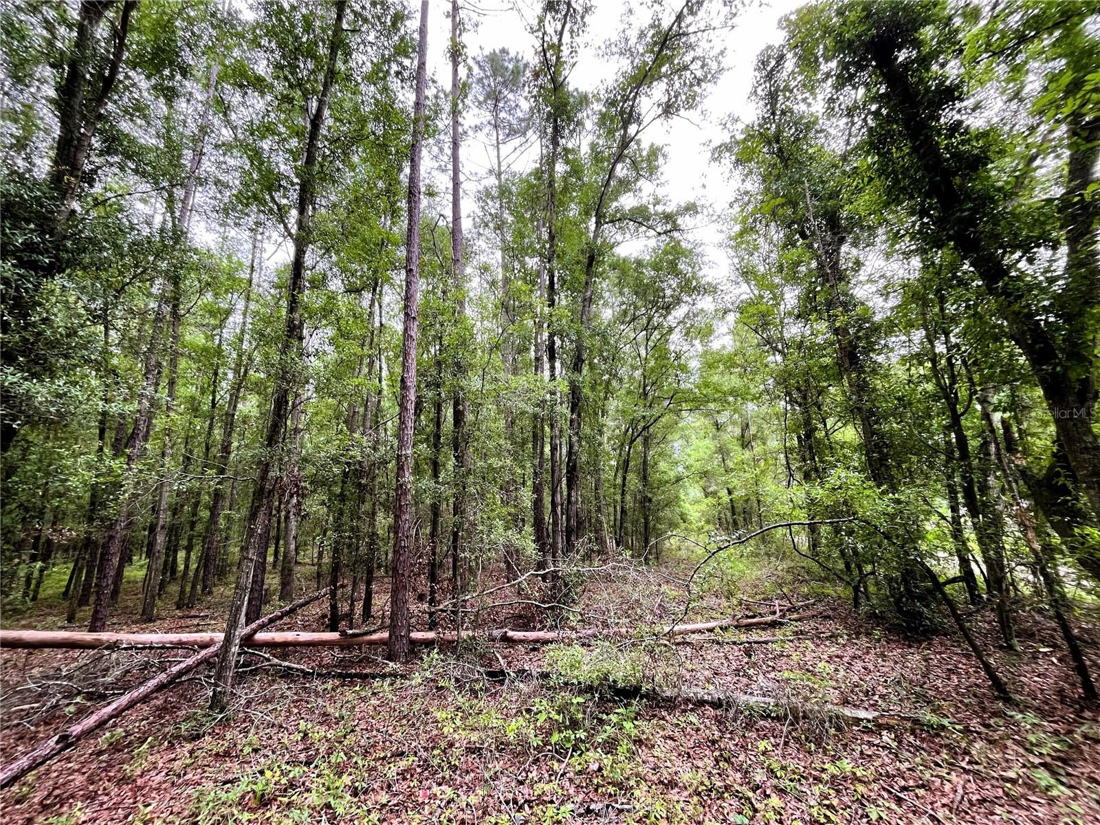 1874 Sw Nautilus Rd Property Photo 21