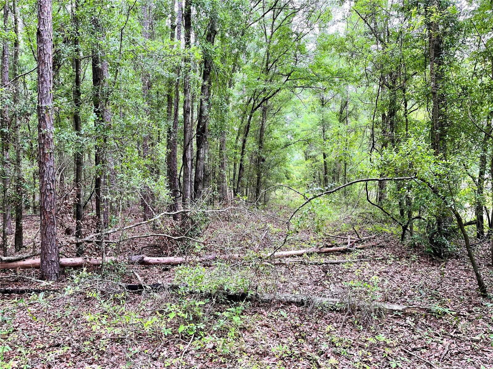 1874 Sw Nautilus Rd Property Photo 22