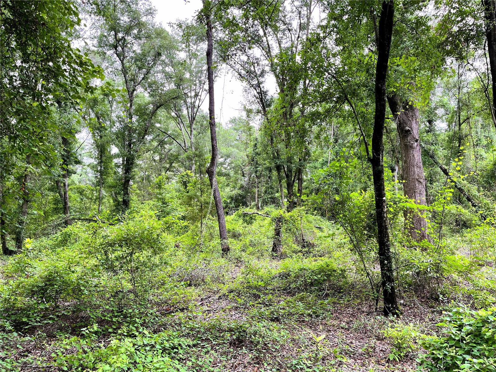 1874 Sw Nautilus Rd Property Photo 23