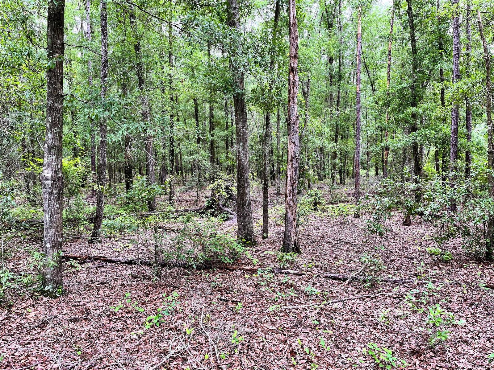 1874 Sw Nautilus Rd Property Photo 24