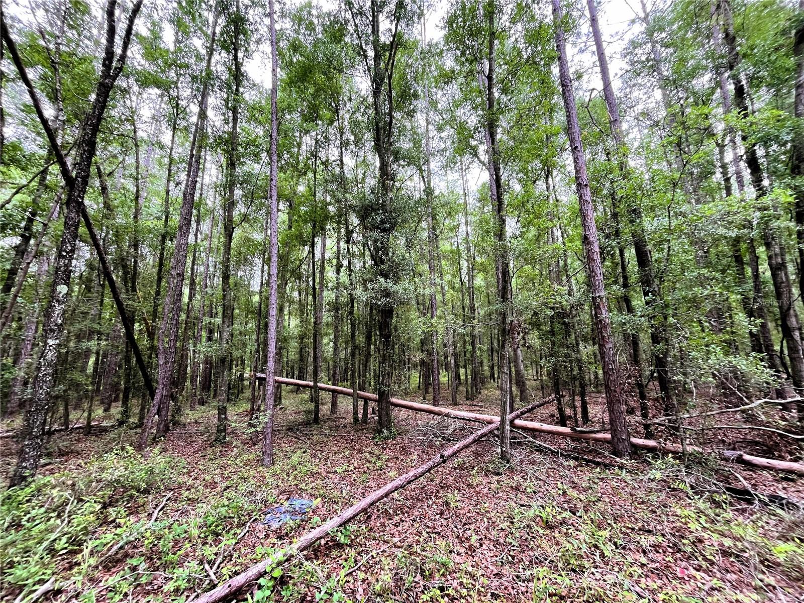 1874 Sw Nautilus Rd Property Photo 25