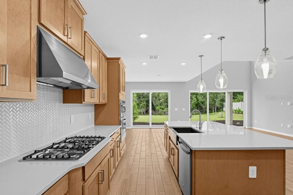 32551 Sandy Basin Way Property Photo 4