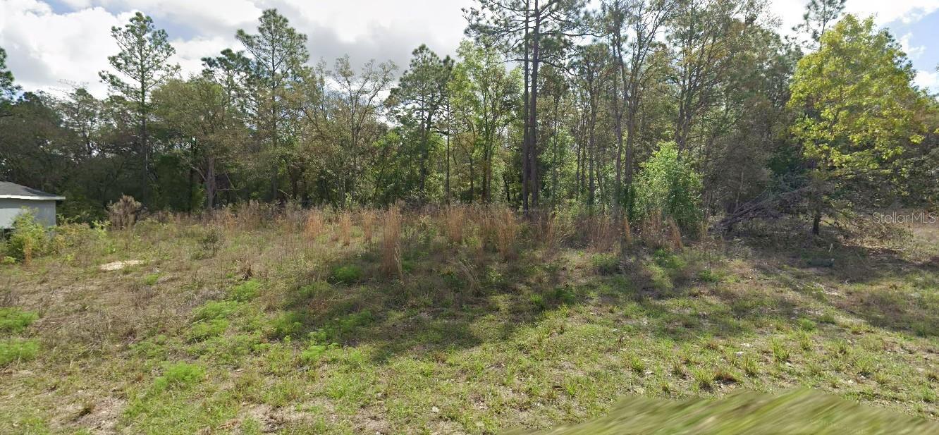 8445 N JANEAUX DR Property Photo 1