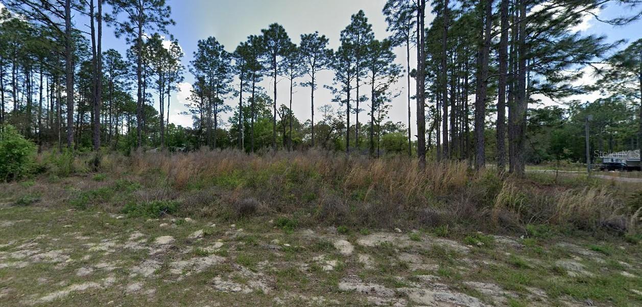 1562 W Acadian Pl Property Photo