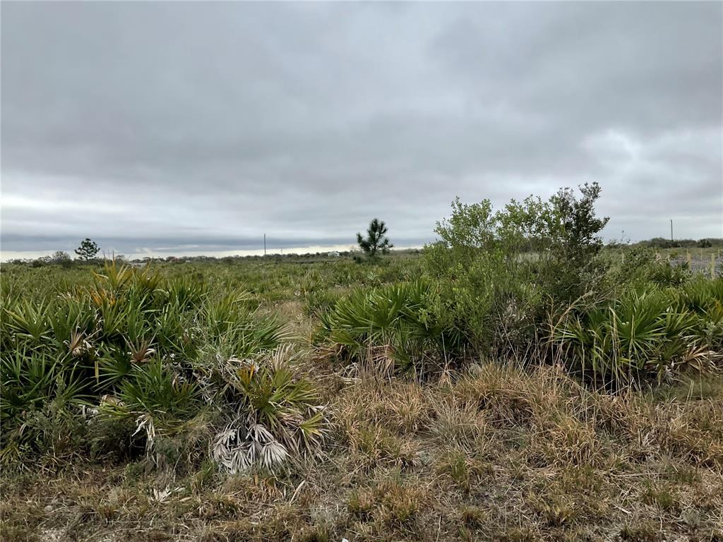 18884 Nw 250th St Property Photo 2