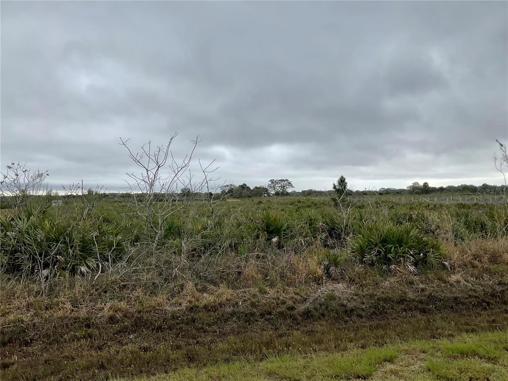 18884 Nw 250th St Property Photo 5