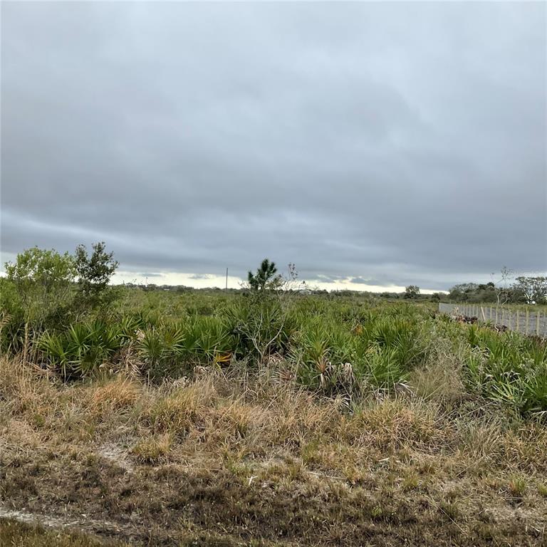 18884 Nw 250th St Property Photo 6
