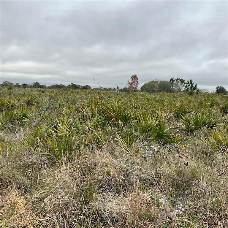 18884 Nw 250th St Property Photo 8