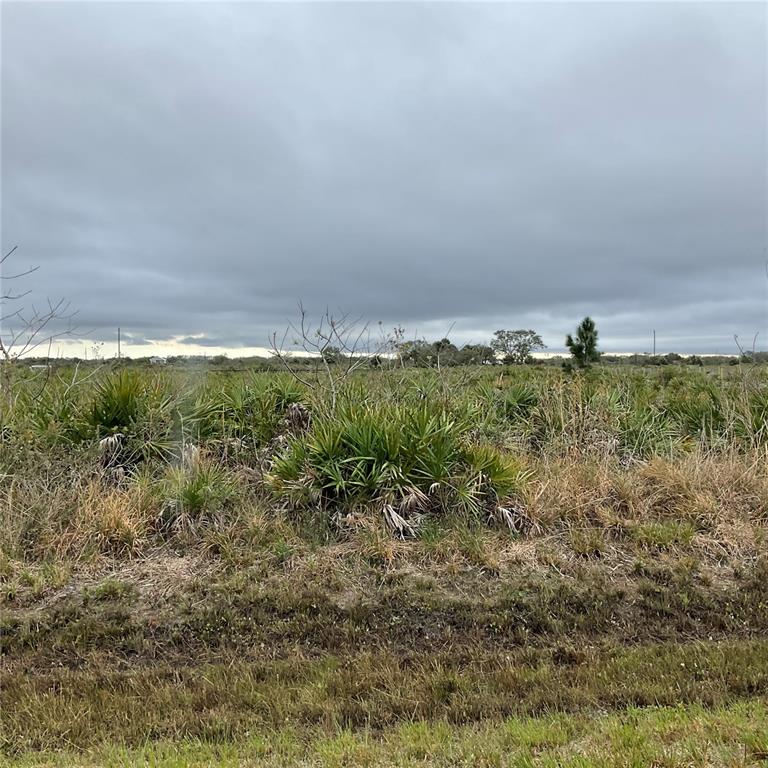 18884 Nw 250th St Property Photo 11