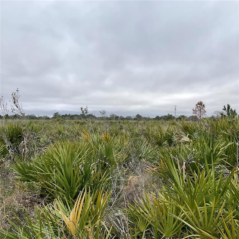 18884 Nw 250th St Property Photo 12