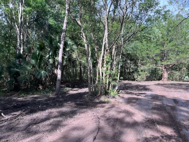 630 Quarter Horse Lane Property Photo 1