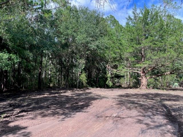 630 Quarter Horse Lane Property Photo 2
