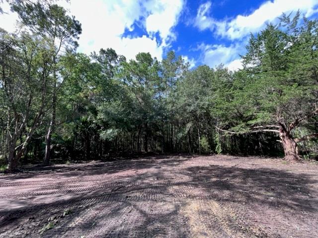 630 Quarter Horse Lane Property Photo 3