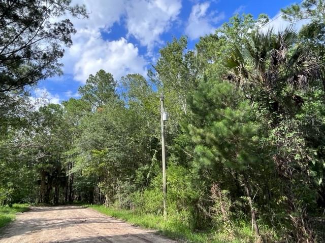 630 Quarter Horse Lane Property Photo 4