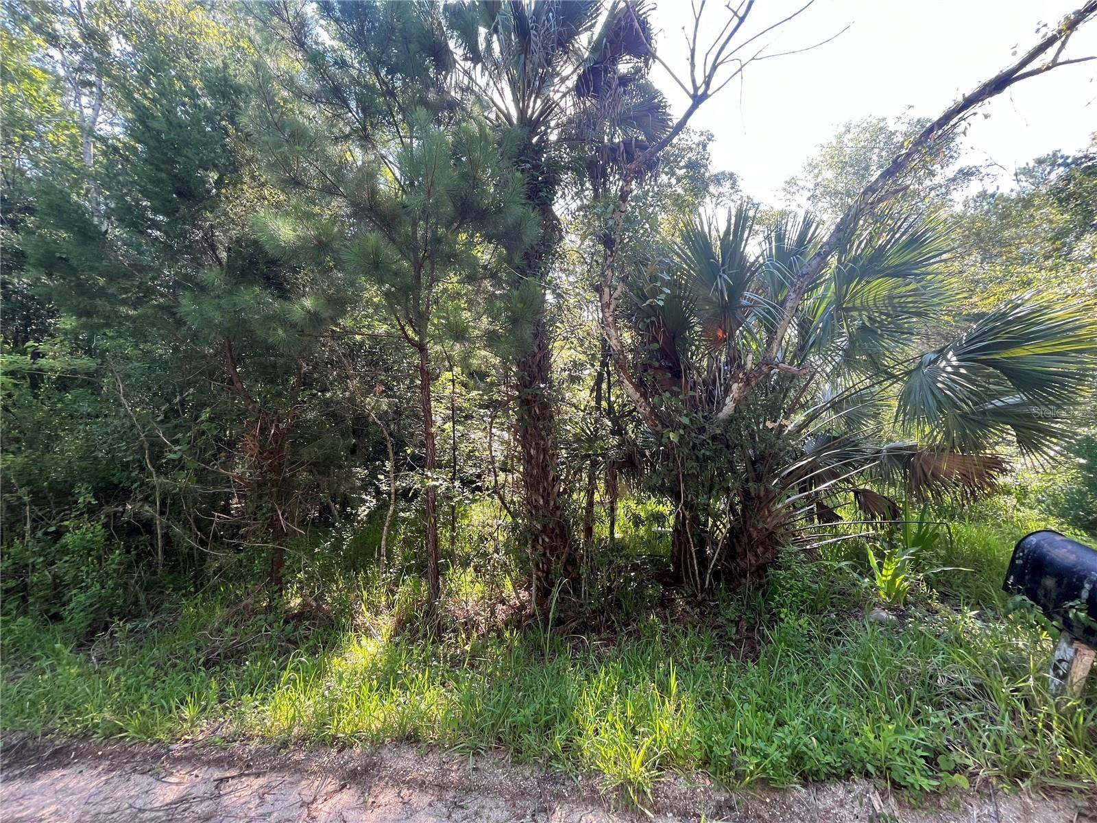 630 Quarter Horse Lane Property Photo 7