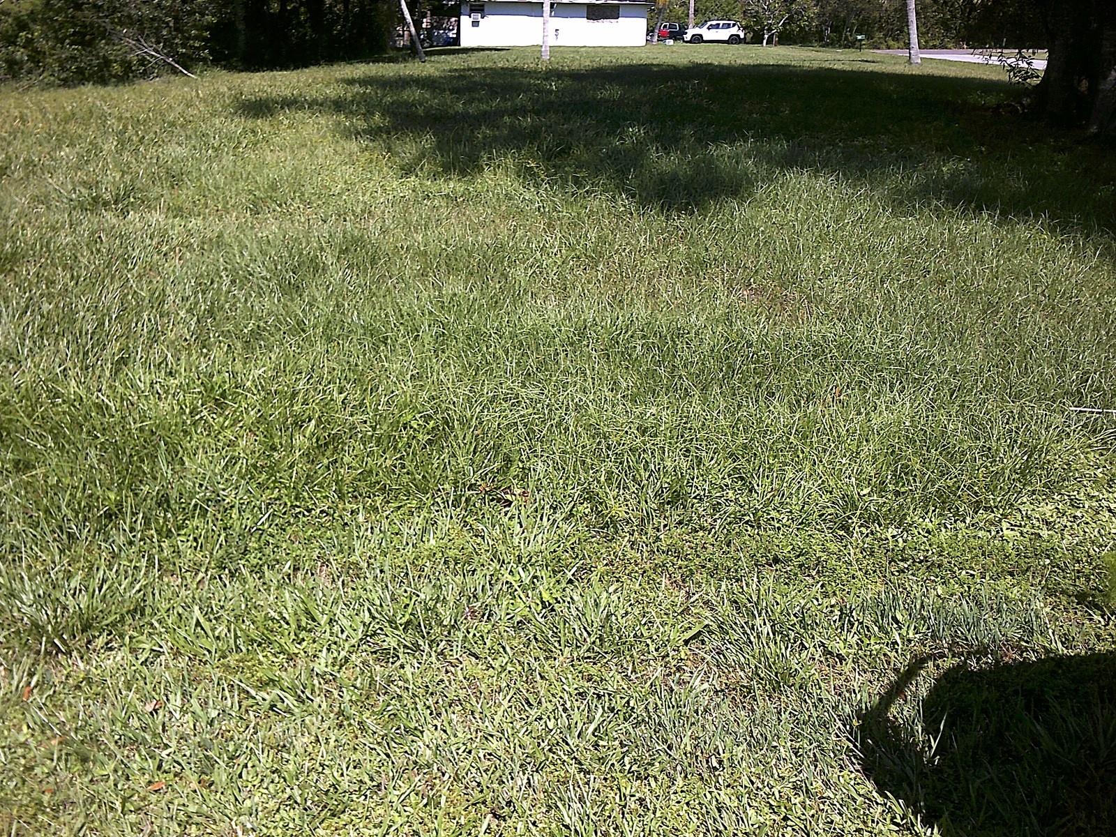 9002 Se 65th Way Property Photo 7