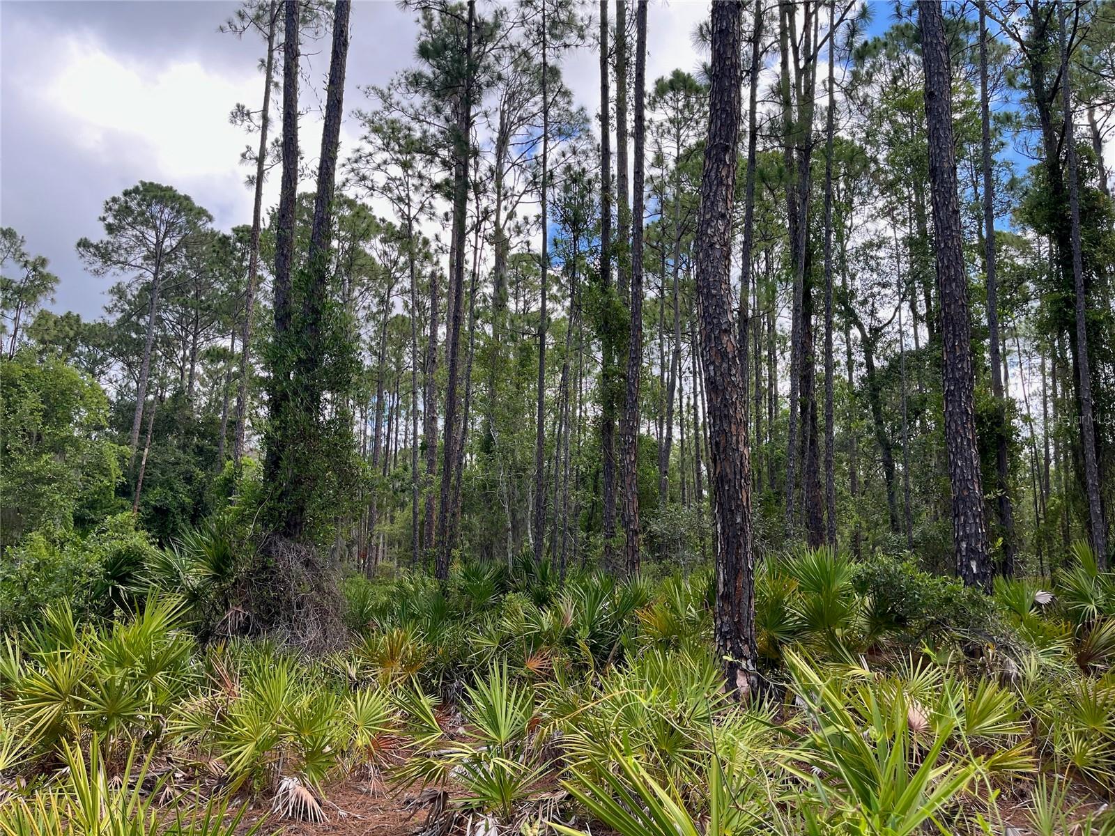 222 Marie Ave Property Photo 4