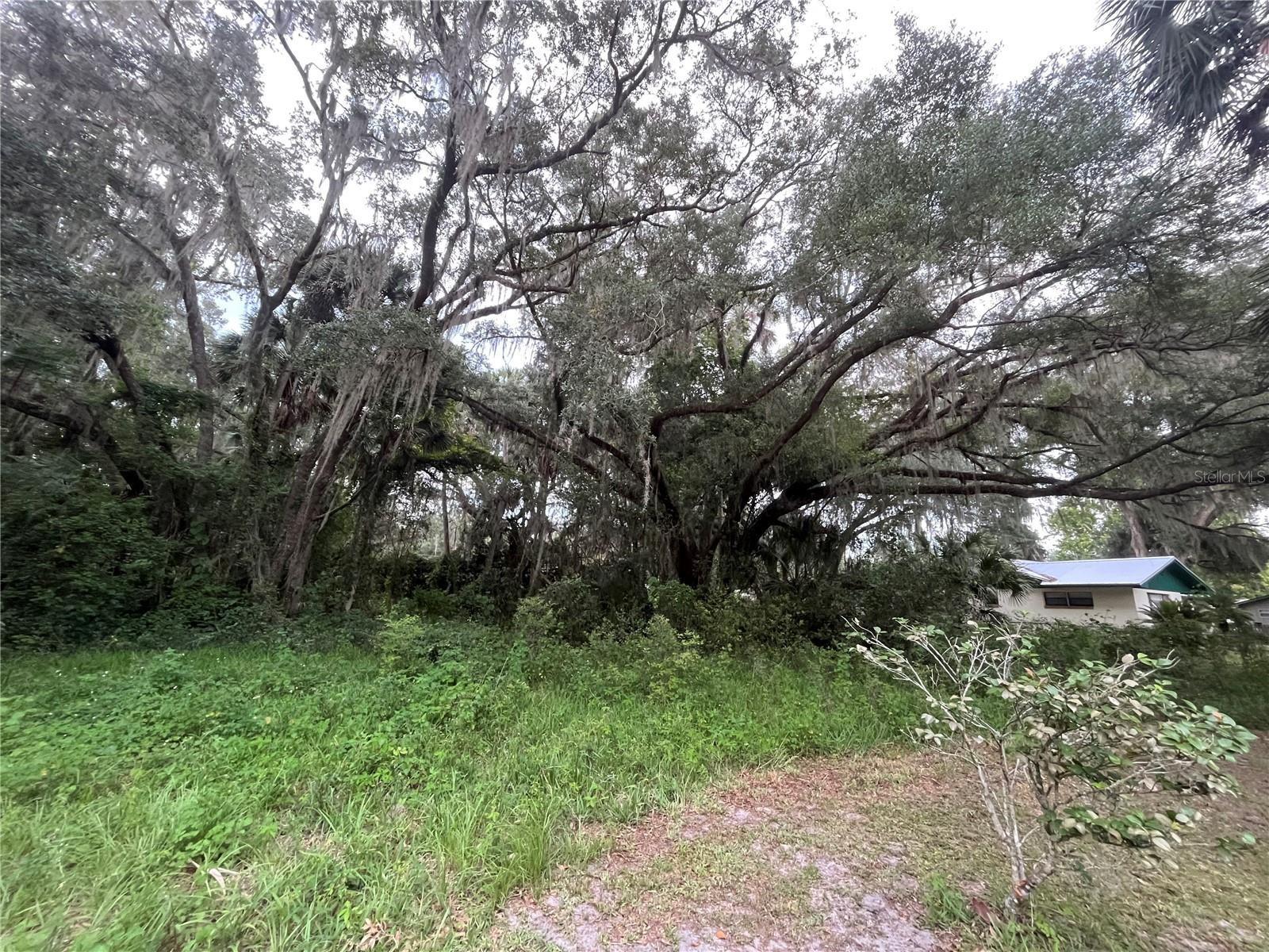 183rd Ave Property Photo 13