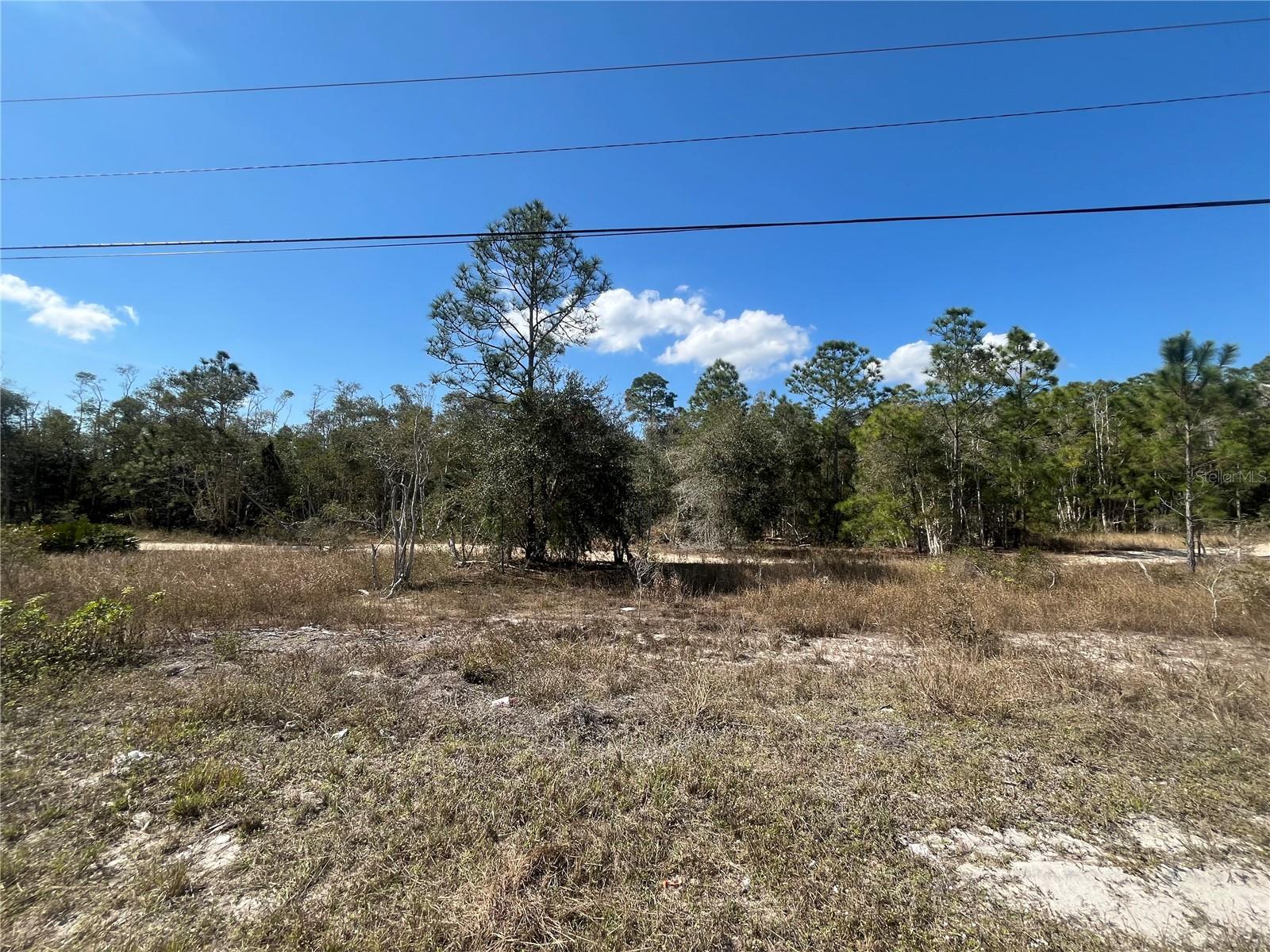 494 Burrstone Dr Property Photo 2