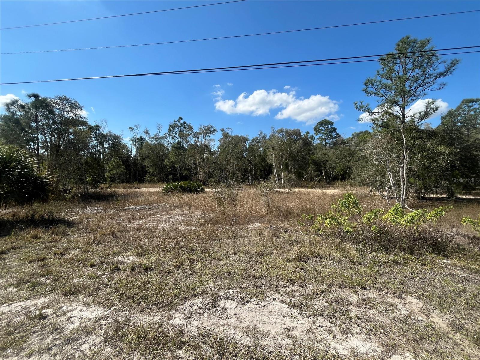 494 Burrstone Dr Property Photo 3