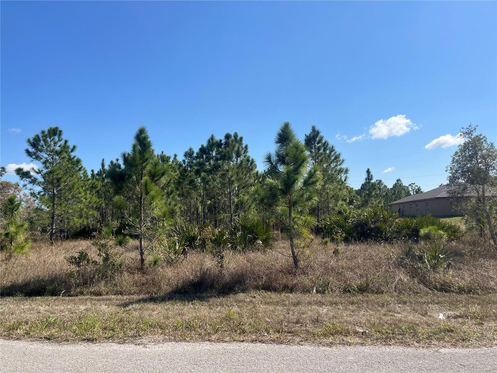 1247 BRUNELL AVE Property Photo 1