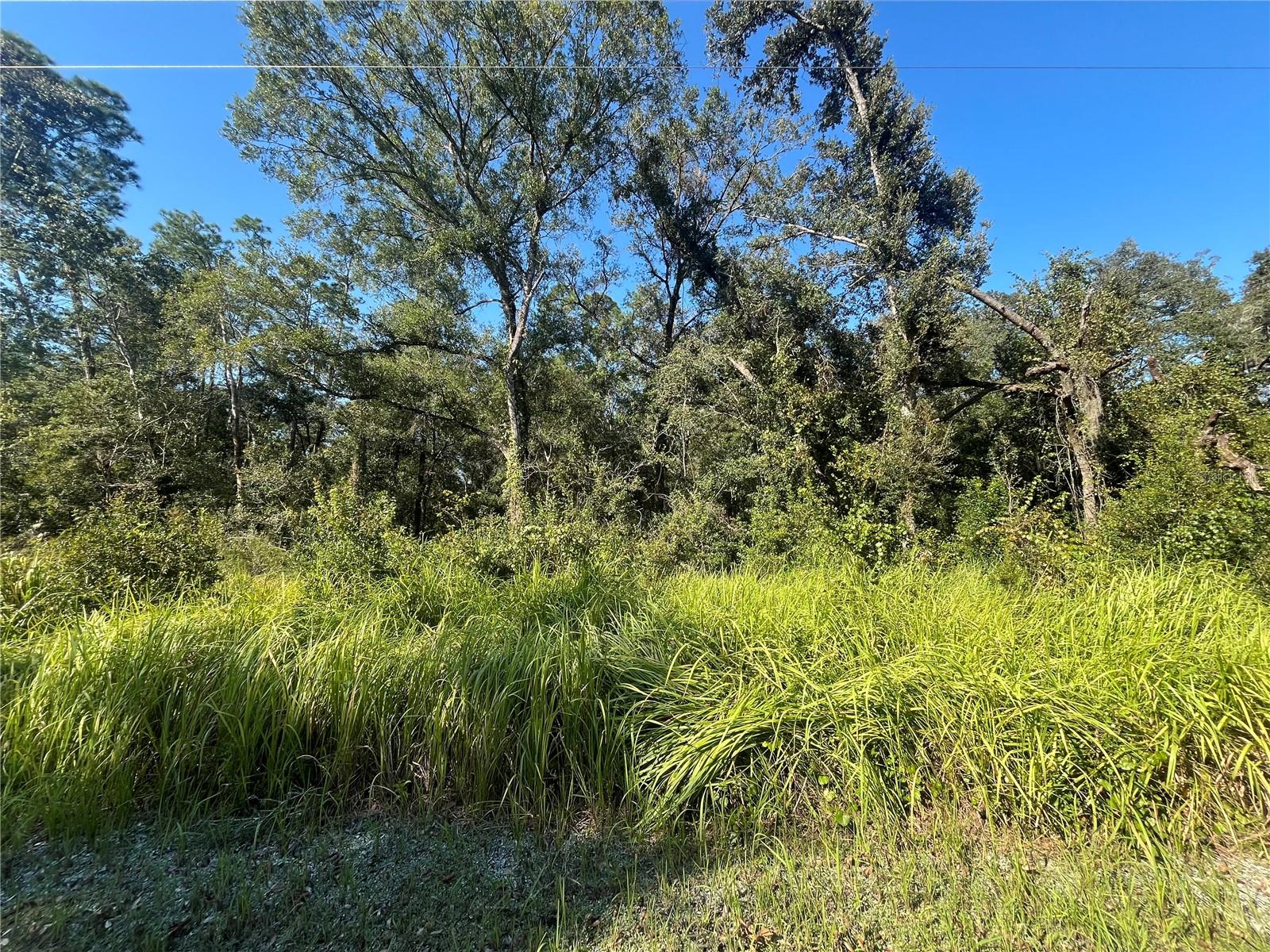 Grindstone Dr Property Photo 1