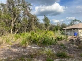 4908 Grampus Dr Property Photo