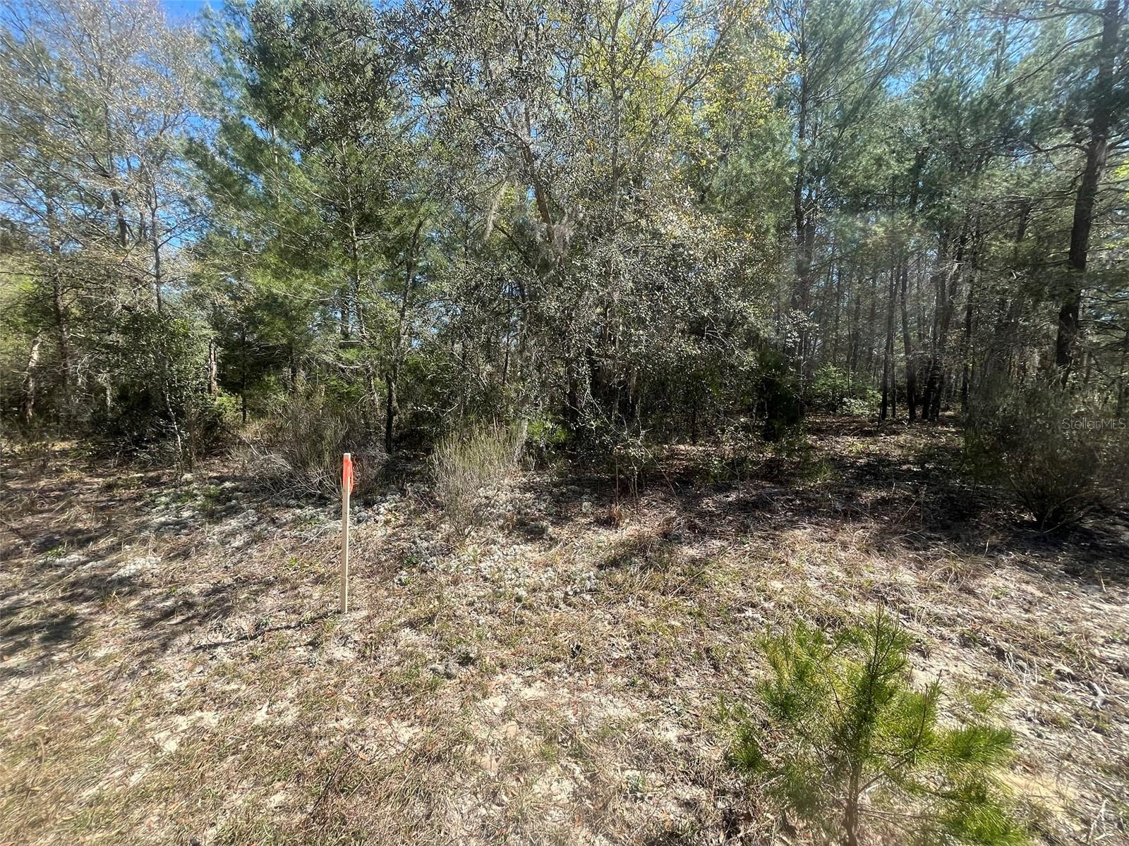 Kitty Property Photo 1