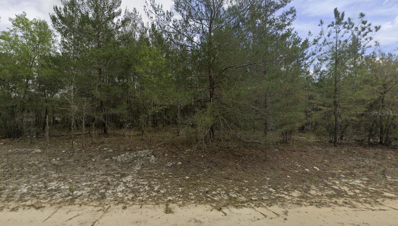 Kitty Property Photo 10