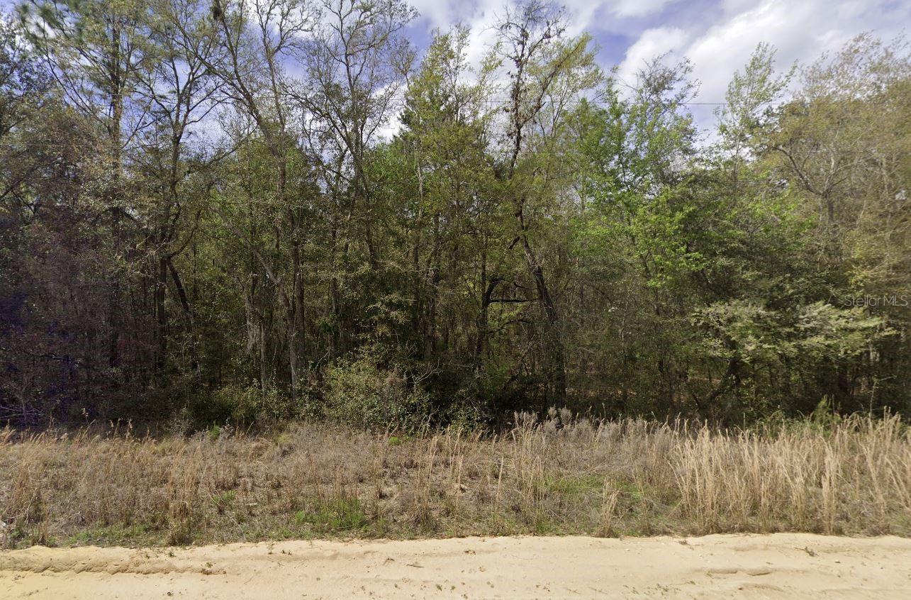 Louise Property Photo 2