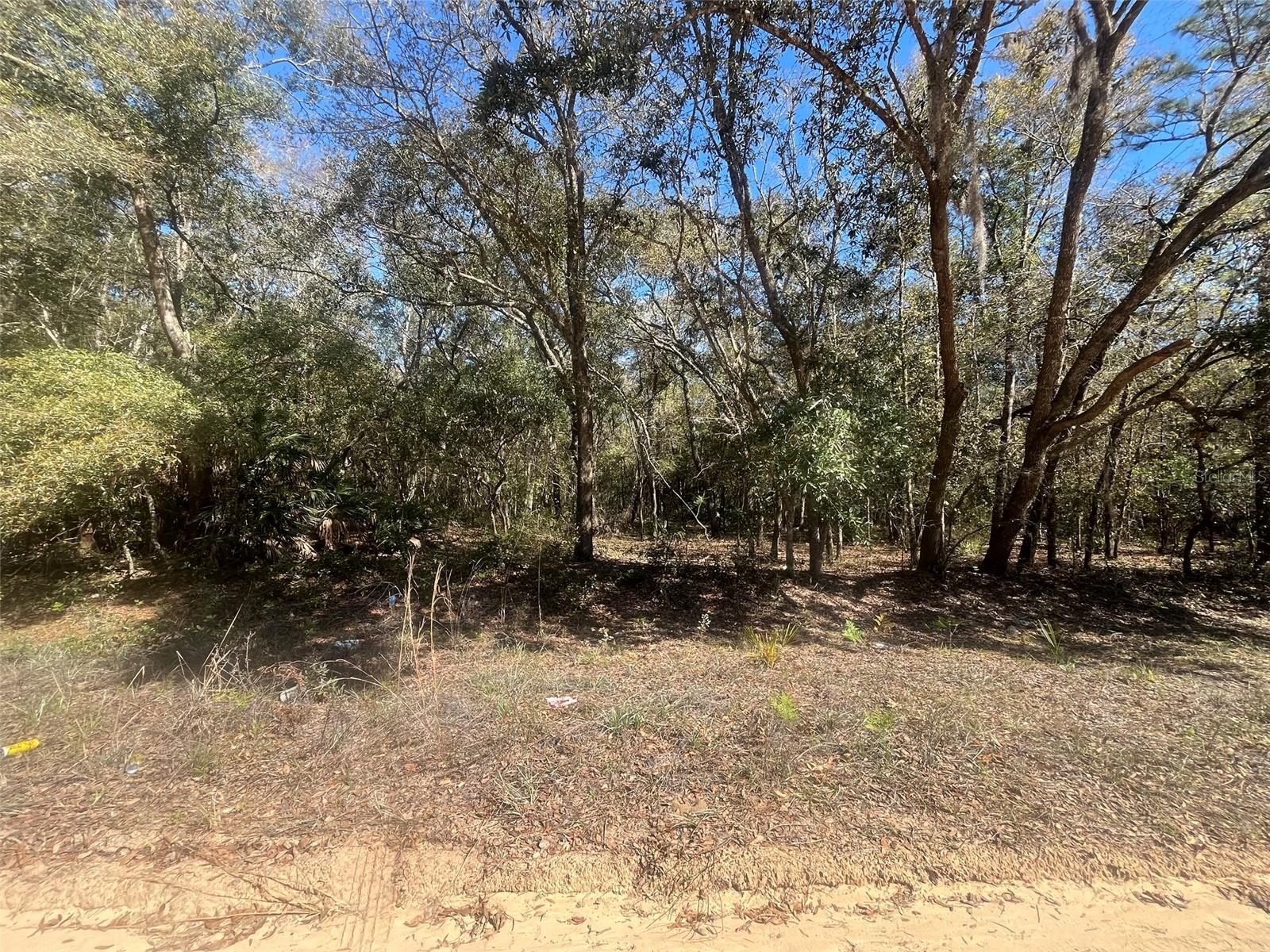 Beaven Property Photo