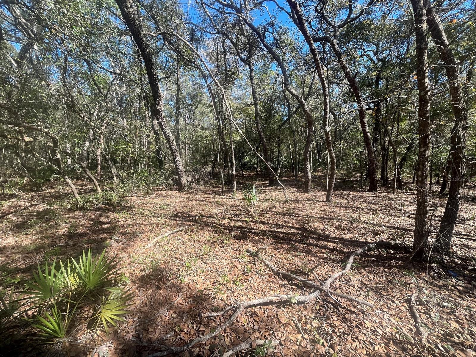 Beaven Property Photo 2