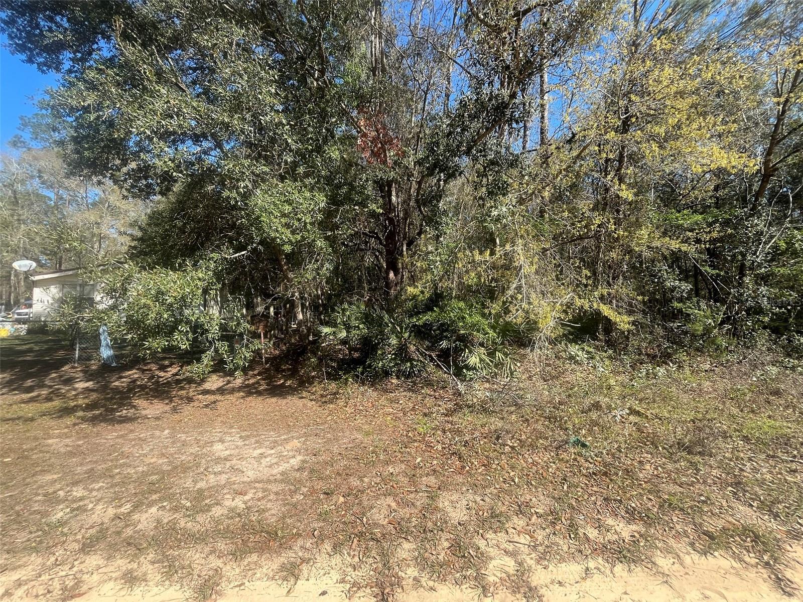 Beaven Property Photo 3