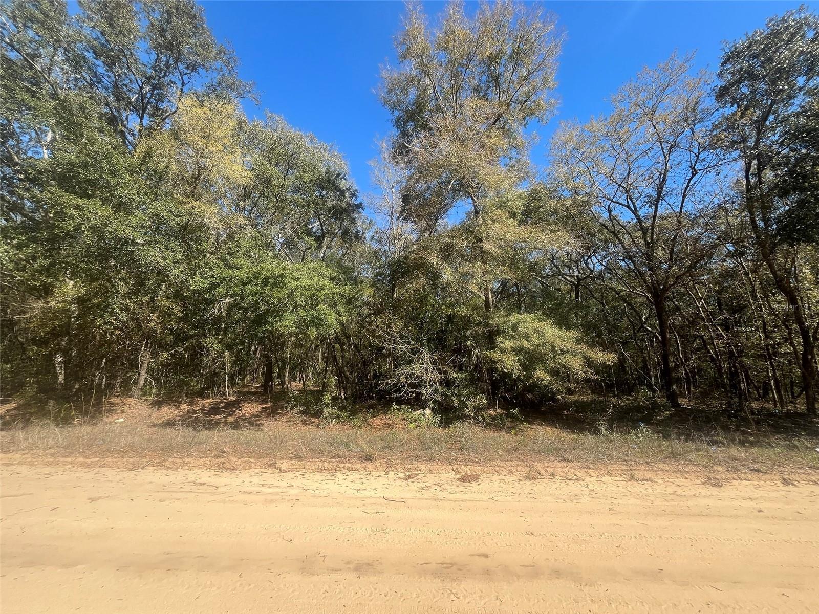 Beaven Property Photo 6
