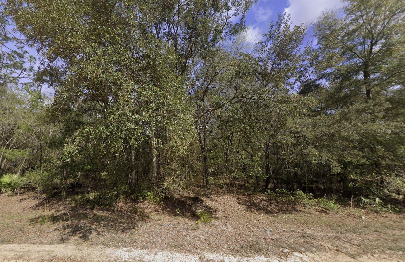 Beaven Property Photo 9
