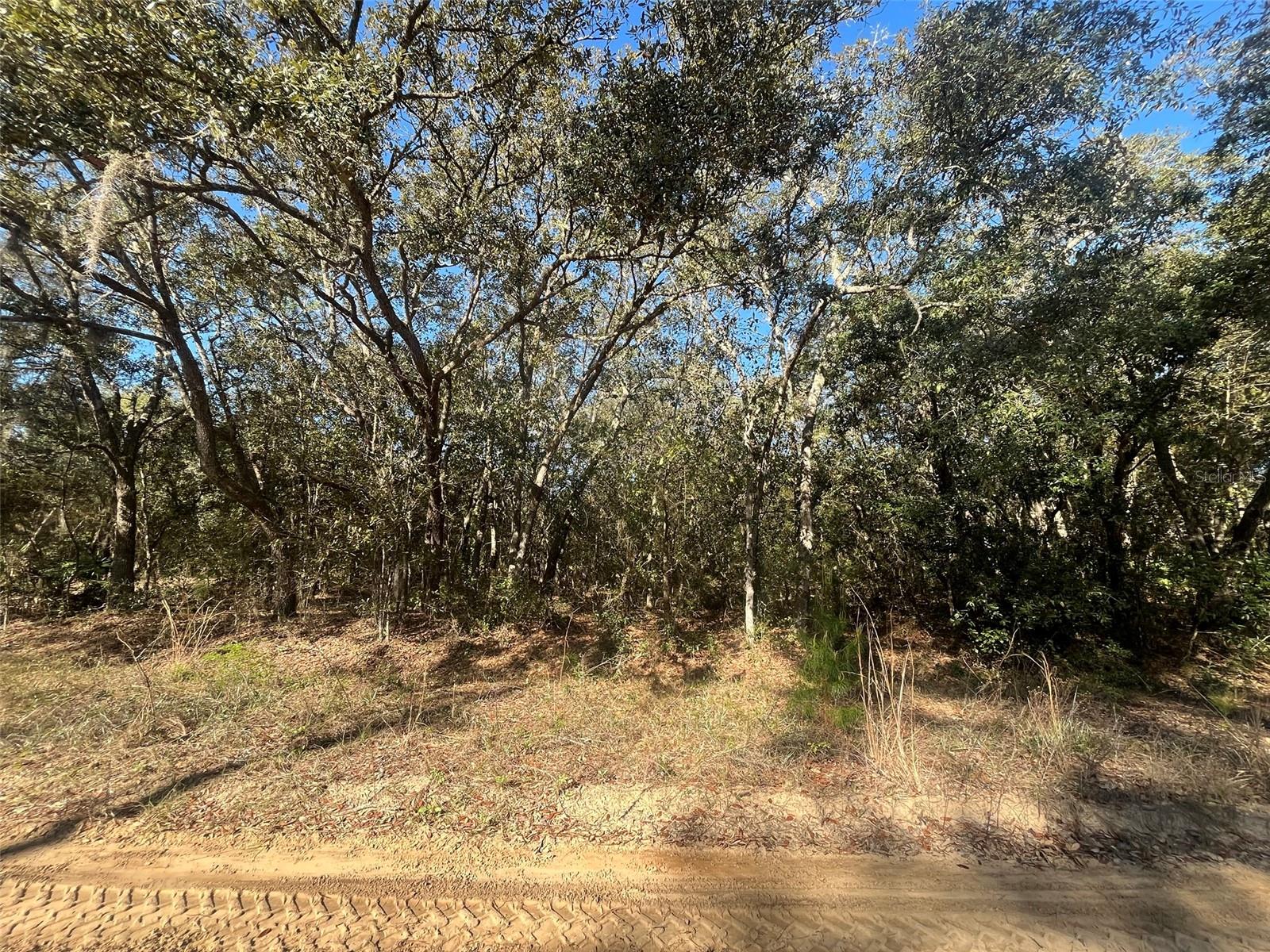 Banks Property Photo 1